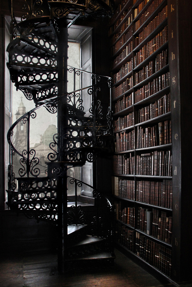 mynocturnality:
“ The old library, Trinity College, Dublin, Ireland.
”