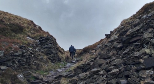 facelesscinema:Faceless Trailers: God’s Own Country, Francis Lee [2017]