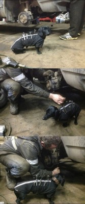 c0untrymusicjesus:  southernsideofme: Little buddy helping out in the auto shop  He’s welcome in my shop anyday