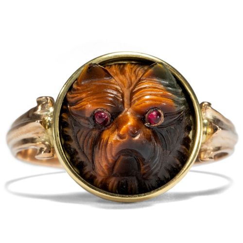 randomitemdrop: tikarii:allaboutrings: Antique Tiger’s Eye Affenpinscher Ring @randomitemdropItem: