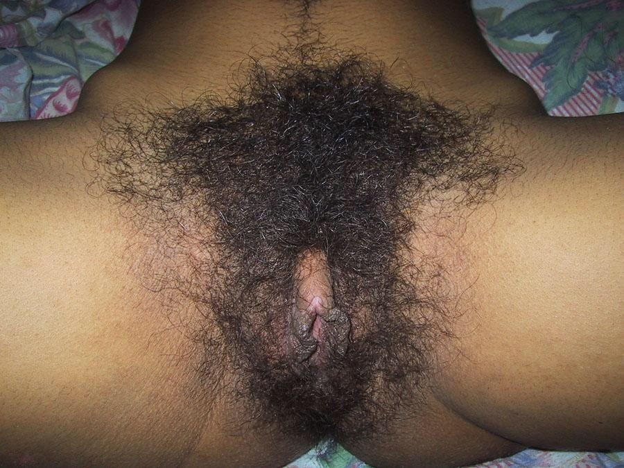 bootysandbush:Indian Punani
