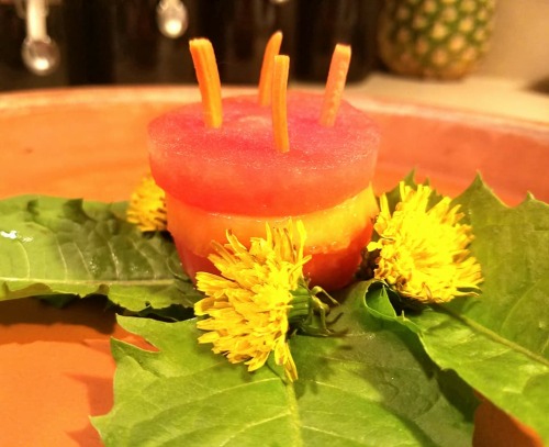My Tortoise Ozzy Just Had Her 4th Birthday, So I Made Her A Watermelon And Cantaloupe Layered Cake With