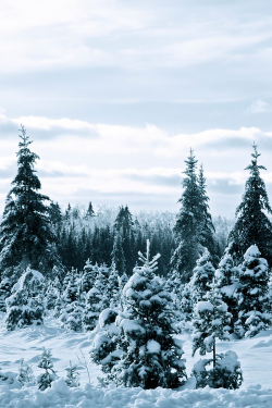 atraversso:  Winter ~ By Michael Hennigar 