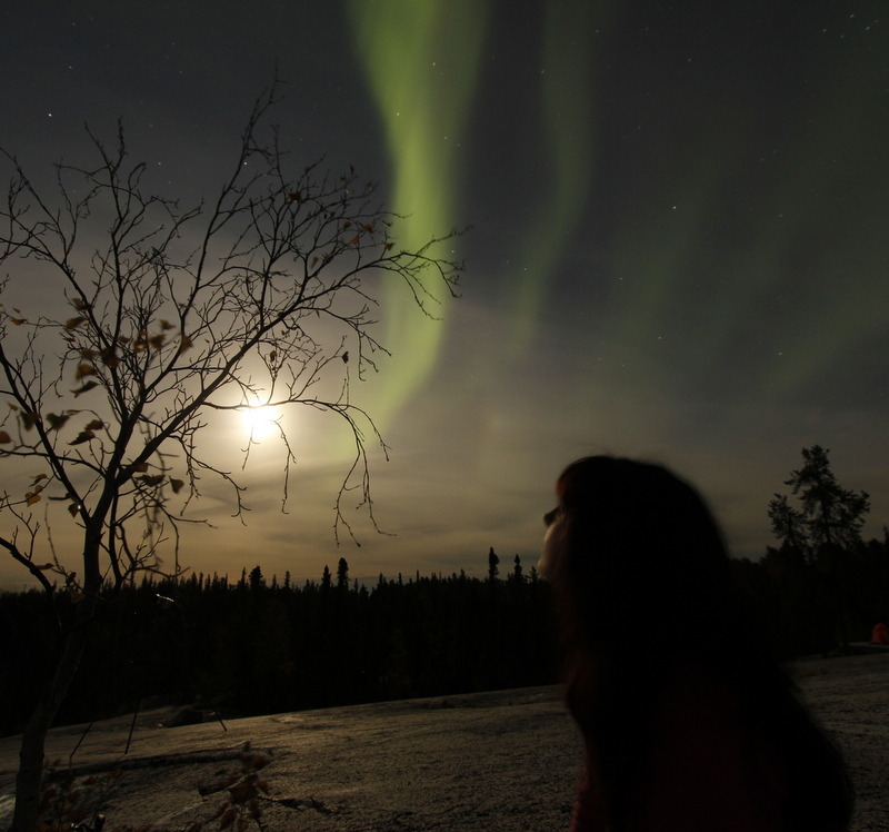 atraversso:  Aurora Boreals  by Emrold    Please don’t delete the link to the photographers/artists,