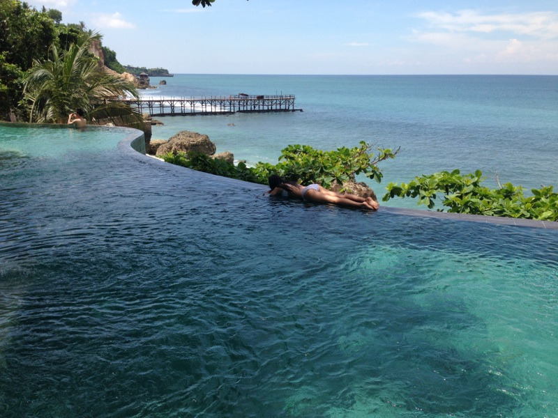 tiger-tropic:  Follow tiger-tropic for more like this ✌❁☯