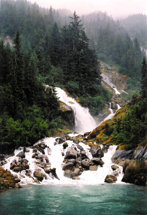 oh-haroo:  Follow me for more vertical nature and landscape!