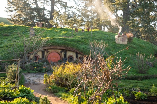 middle-earth-mythopoeia:The Hobbiton movie set, Matamata, New Zealand