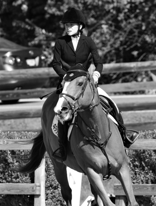 olsendaily:Mary-Kate and Prem Dollar Boy competing in the The American Gold Cup in North Salem, New 