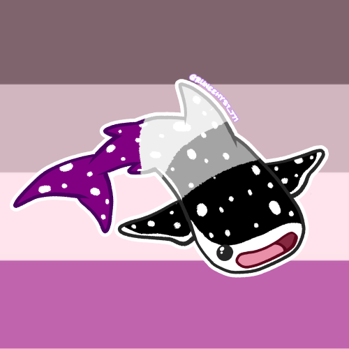 Whale Shark Pride Pt.3