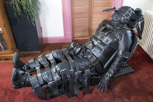 For The Love Of Femdom