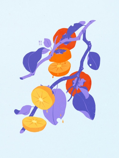 “Persimmons” by Samantha Mash on INPRNT