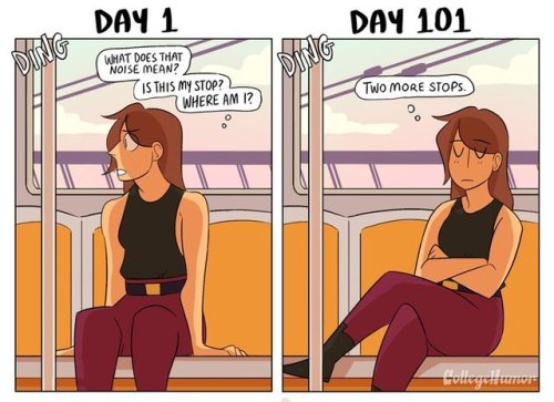 aprillikesthings:museumnelson:republicansareahategroup:pr1nceshawn:Taking Public Transit: Day 1 vs D
