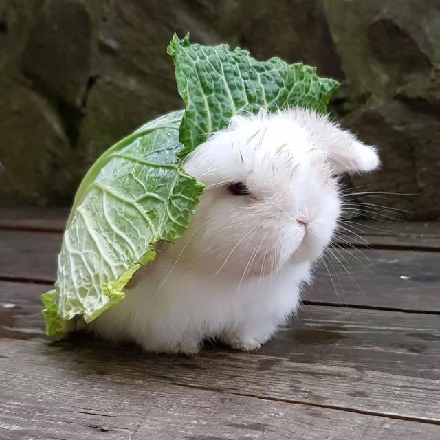 lluviagf:https://www.instagram.com/p/CH3bmE-n9pt/?igshid=jekr64ilo7xi