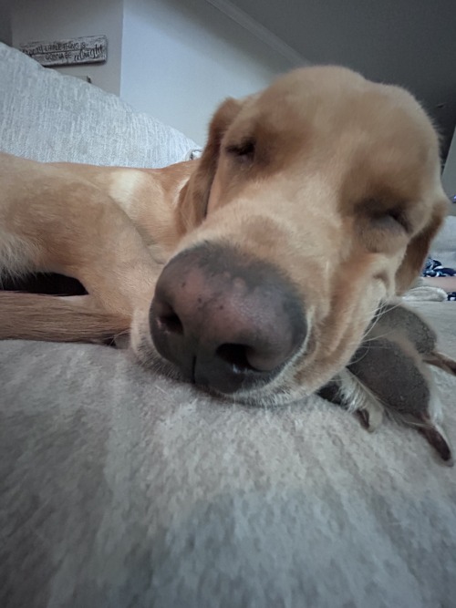 HHIIII