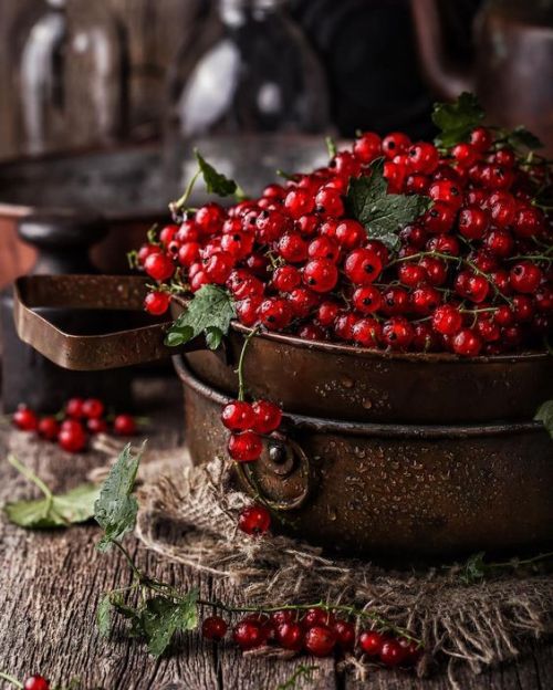 faerypotter: Red currant by  Anastasia Zourabova