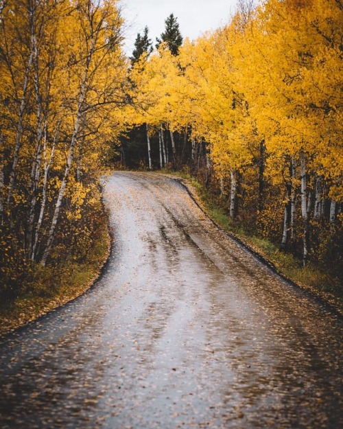 tylorreimer:Now this is why I love fallWhat’s your favourite part of fall? (at Riding Mountain Natio