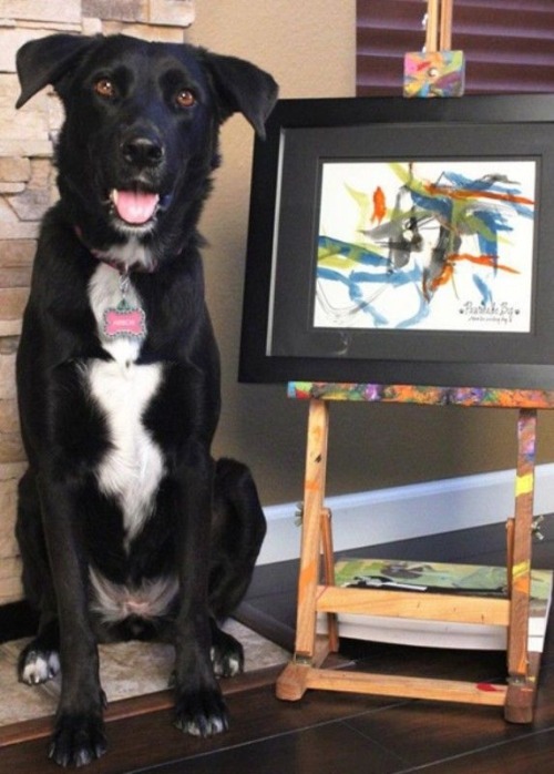 x0livelaughlove0x: This dog is more artistically talented than I am…