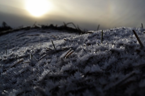 swedishvikingwoman:  Winter is finally here, i hope the snow will stay until next year :) 
