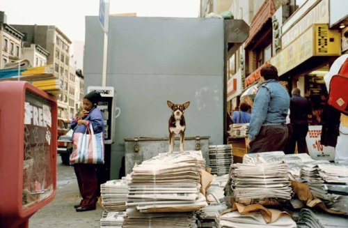 lostfunzones:   Jeff Mermelstein / New York