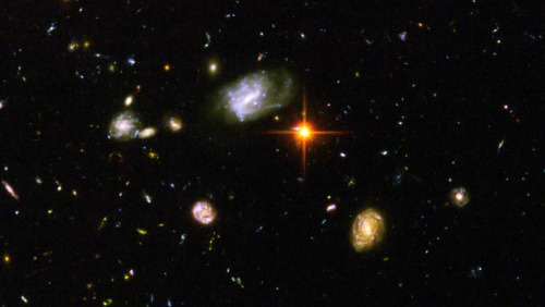 jtotheizzoe:via sci-universe:Details of the Hubble (Ultra) Deep Field.  You’re looking approximately