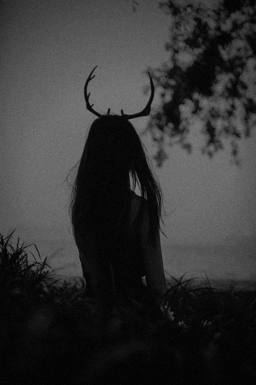 Imagine Lilith was a fallen Angel and Zelda wanted to be her Queen of Hell. Zelda: You don’t underst