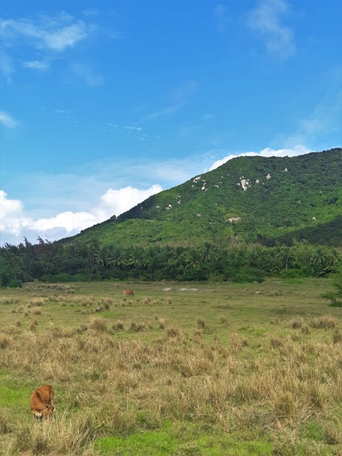 Tongguling Ridge near Wenchang, Hainan