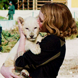 misskamala:The Zookeeper’s Wife (2017)