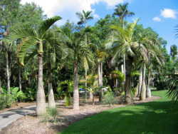 Perfect day. 76, sunny, breezy, no humidity.