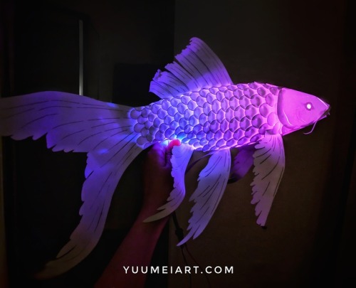 yuumei-art:I made a butterfly koi variation of my paper koi lantern. Butterfly koi are type of koi w