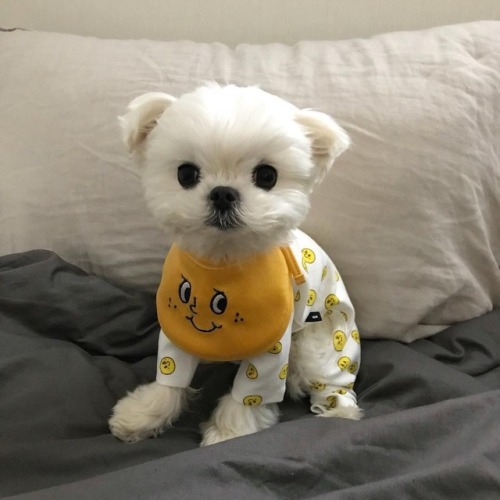 我真累