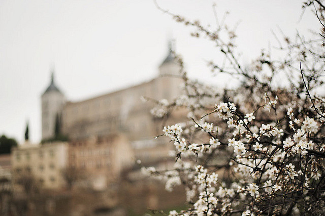 coldheartx:  Al… by etringita on Flickr. 