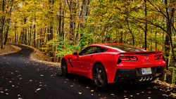 aguysmind:  Corvette by Tom Finzel | Source | AGM 