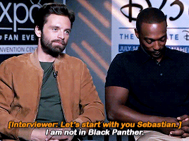 sebastiansource:Winter Solider/Bucky Barnes is not in Black Panther according to Sebastian Stan.