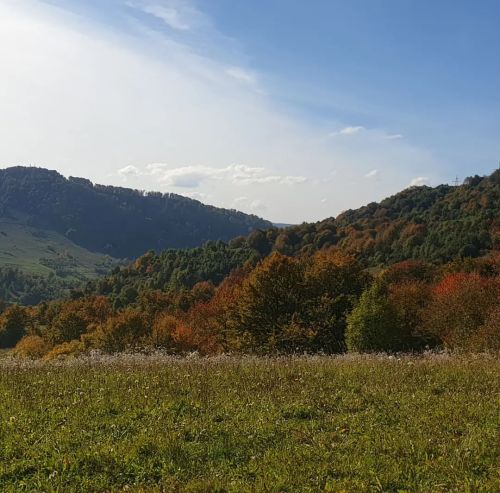 #Podzim je tady ! #užanský_národní_přírodní_park #Karpaty #Ukrajina #Zakarpatí #zakarpattia #zakarp