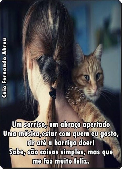 bb4987c070ea3d23befbcd46e33b8edd6a881503