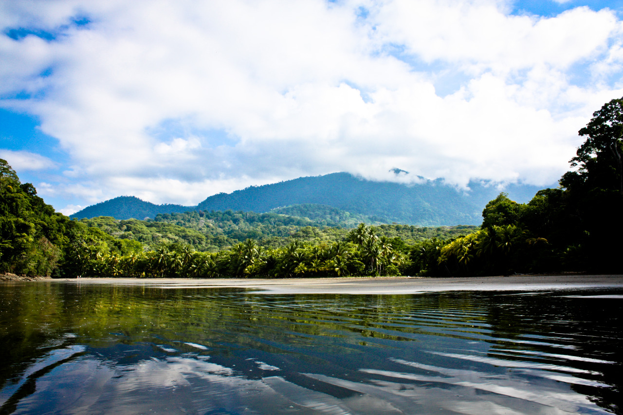 carnivorousveggie:  dinosaur territory // Uvita, Costa Rica 2014 by © veggie For