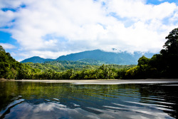 carnivorousveggie:  dinosaur territory // Uvita, Costa Rica 2014 by © veggie For the first time in my life I traveled across the U.S border, I was submerged into a breathtaking country filled with wild jungle and bugs the size of my index finger. I