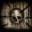 staarkdarkart
