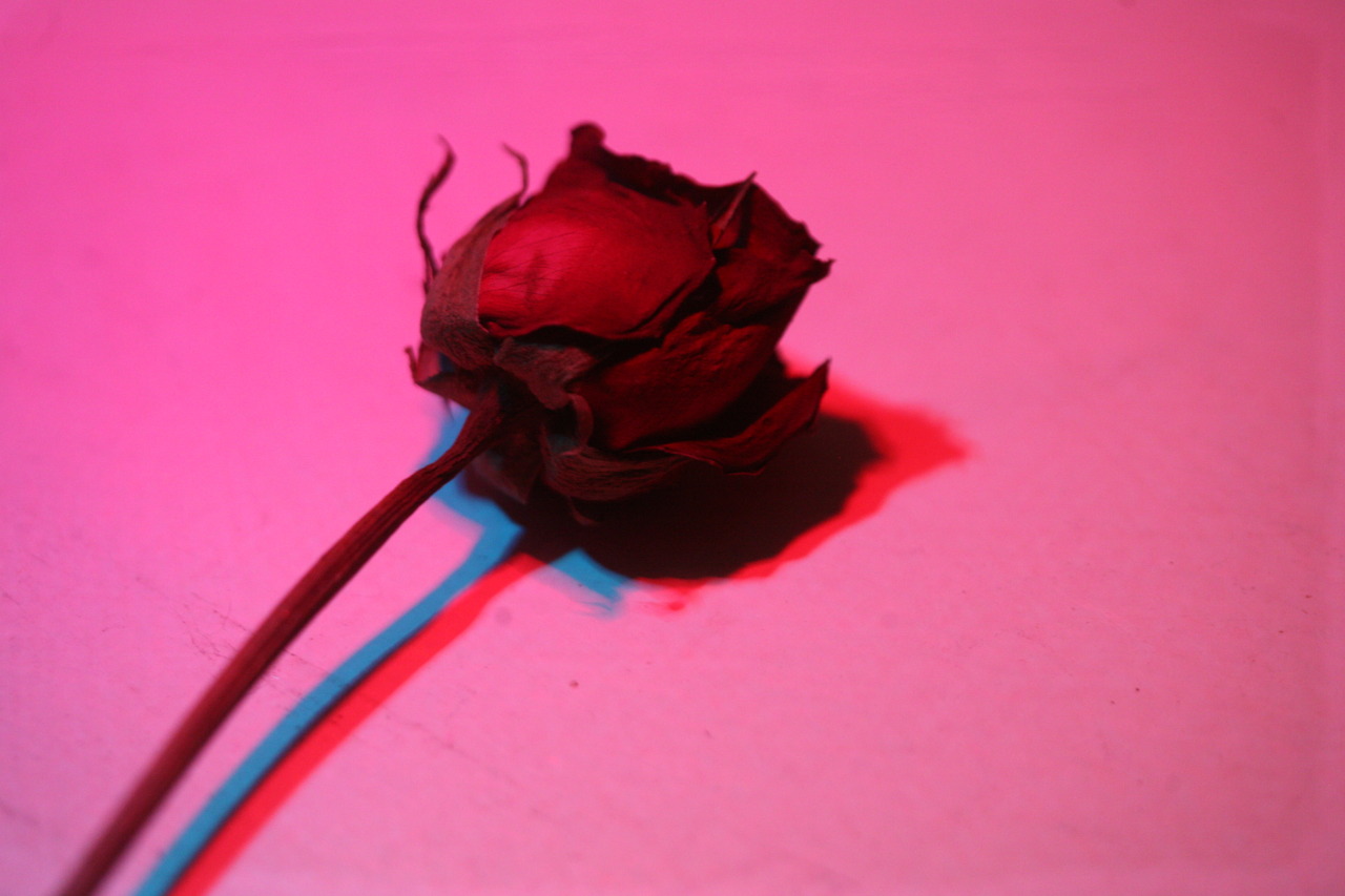 three dimensional effects (2015)as apart of my bracketing assignment for class I