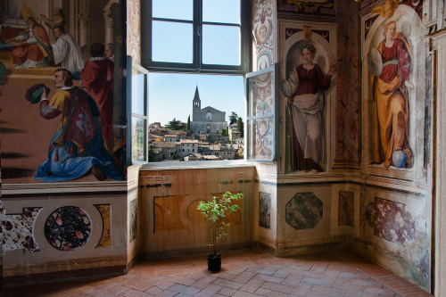 the-iridescence:  Still Life by Steve McCurry