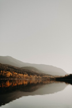 autumn-and-sweaters:    Photo by Benjaminrobyn Jespersen on Unsplash  