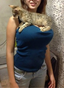 girlslikebarbie:  Uses for big boobs #42: kitten carrier.  http://koloboko.tumblr.com/