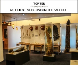 coolthingoftheday:  coolthingoftheday:  TOP TEN WEIRDEST MUSEUMS IN THE WORLD 1. Icelandic Phallological Museum - Reykjavik, Iceland 2. Dog Collar Museum - Leeds, England 3. Momofuku Ando Instant Ramen Museum - Osaka, Japan 4. Barbed Wire Museum - Kansas,