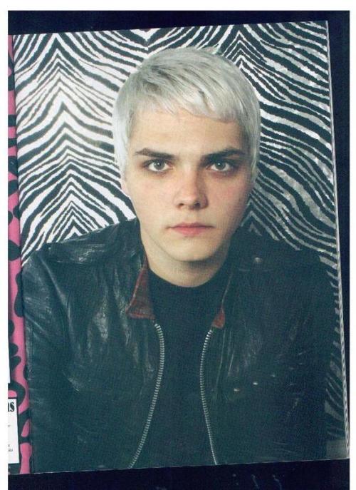 mychemicalcatalog:My Chemical Romance and a few of their favorite things.Scans from theydrewblood.bl