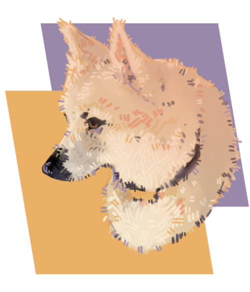 A Portrait Of My Cousin’s Dog I Did As A Christmas Present. His Name Is Balter And Is A Very Sweet