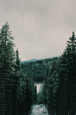 plasmatics-life:  Untitled ~ By Roma Perhaluk