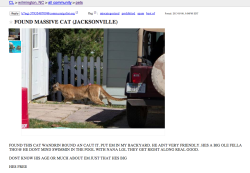 bigmoutheyebrows:  LOOK AT THIS CRAIGSLIST