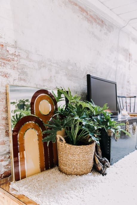urbanjungle: Loft in old textile factory in Philadelphia, Pennslyvania.