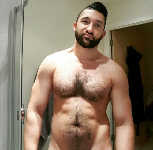 BearWindow