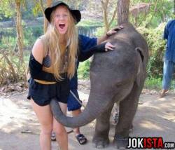 Ya…. I now wish to be an elephants